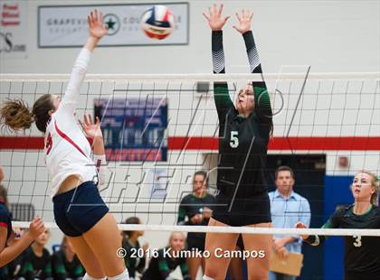 Thumbnail 2 in Carroll @ Grapevine photogallery.