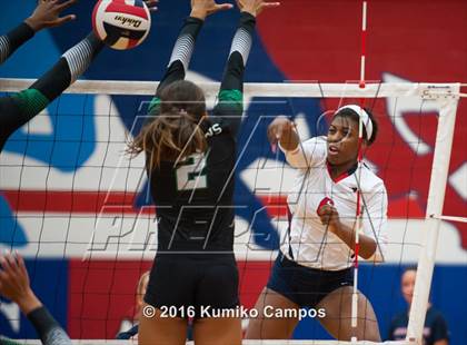 Thumbnail 3 in Carroll @ Grapevine photogallery.