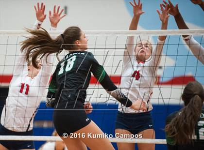 Thumbnail 2 in Carroll @ Grapevine photogallery.