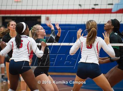 Thumbnail 3 in Carroll @ Grapevine photogallery.