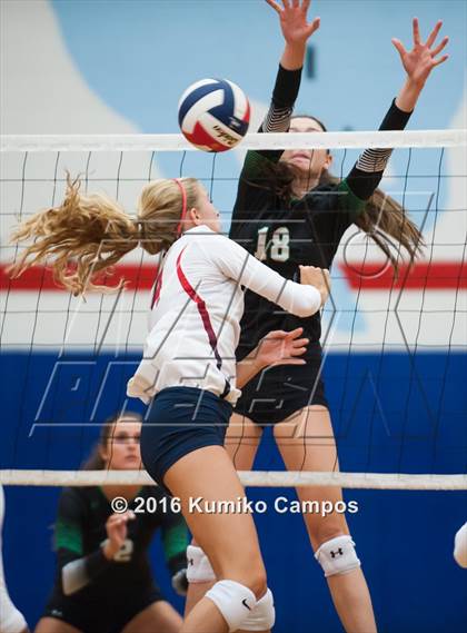 Thumbnail 3 in Carroll @ Grapevine photogallery.