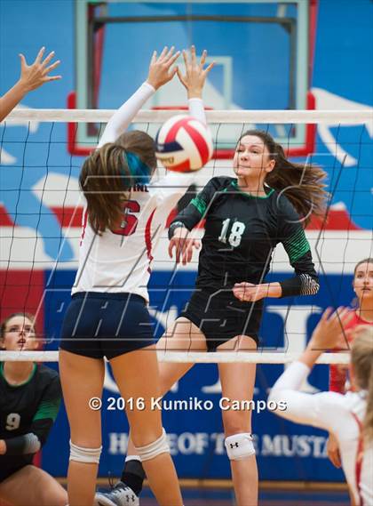 Thumbnail 2 in Carroll @ Grapevine photogallery.
