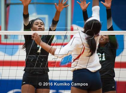 Thumbnail 2 in Carroll @ Grapevine photogallery.