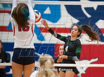 Thumbnail 3 in Carroll @ Grapevine photogallery.