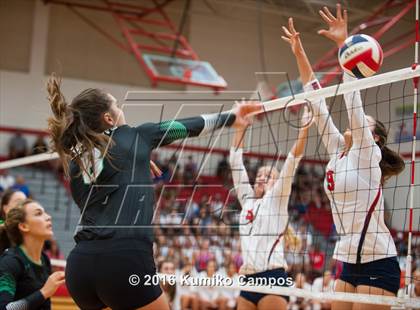 Thumbnail 1 in Carroll @ Grapevine photogallery.