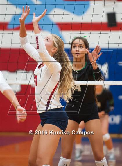 Thumbnail 3 in Carroll @ Grapevine photogallery.