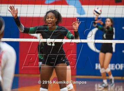Thumbnail 1 in Carroll @ Grapevine photogallery.