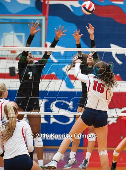 Thumbnail 1 in Carroll @ Grapevine photogallery.