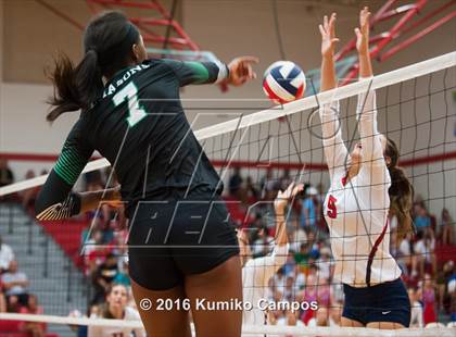Thumbnail 2 in Carroll @ Grapevine photogallery.