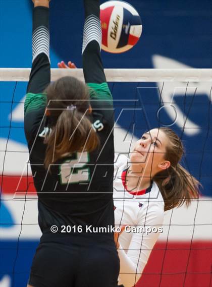 Thumbnail 1 in Carroll @ Grapevine photogallery.