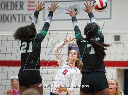 Thumbnail 2 in Carroll @ Grapevine photogallery.