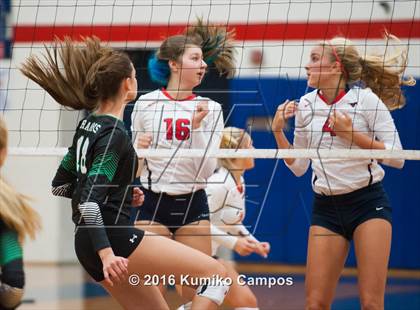 Thumbnail 3 in Carroll @ Grapevine photogallery.