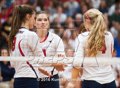 Thumbnail 3 in Carroll @ Grapevine photogallery.