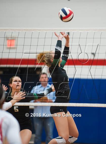 Thumbnail 2 in Carroll @ Grapevine photogallery.