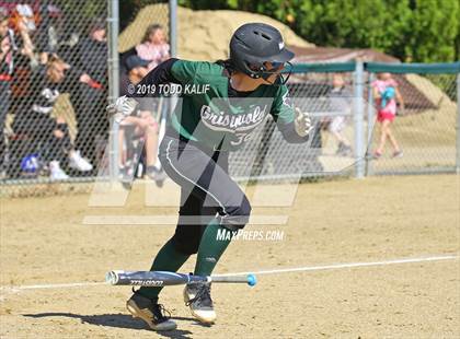 Thumbnail 3 in Fitch vs Griswold (ECC First Round) photogallery.
