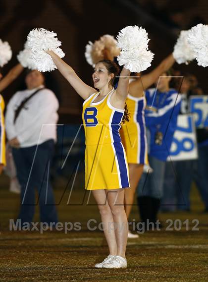 Thumbnail 2 in Rockwood @ Boyd-Buchanan photogallery.