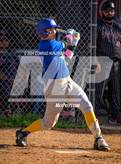 Photo from the gallery "Muir @ Glendale"