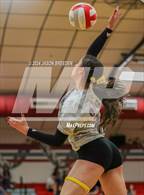 Photo from the gallery "McAllen @ Pioneer"