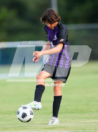 null - Photo 11