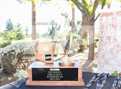 Thumbnail 2 in AIA DI Girls State Golf Championship photogallery.