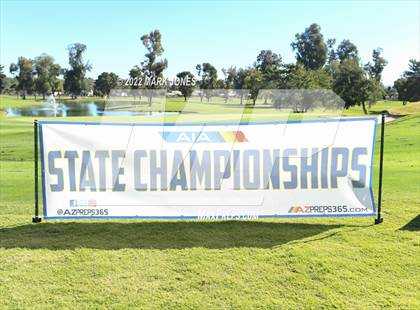 Thumbnail 1 in AIA DI Girls State Golf Championship photogallery.