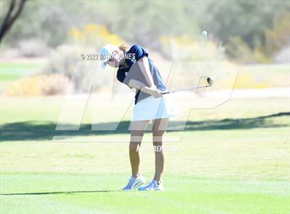Thumbnail 3 in AIA DI Girls State Golf Championship photogallery.