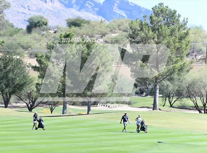 Thumbnail 1 in AIA DI Girls State Golf Championship photogallery.
