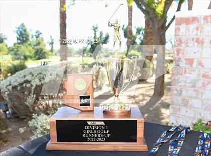 Thumbnail 1 in AIA DI Girls State Golf Championship photogallery.