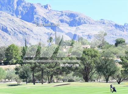 Thumbnail 3 in AIA DI Girls State Golf Championship photogallery.