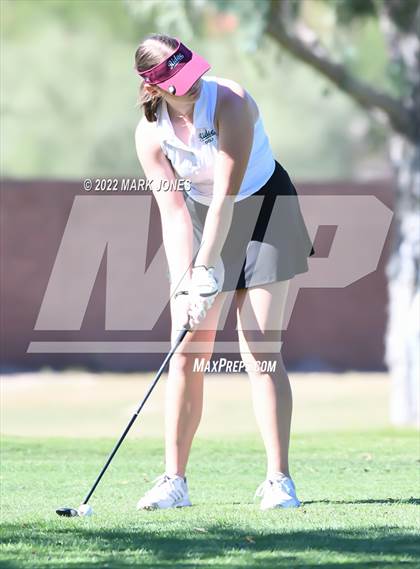 Thumbnail 1 in AIA DI Girls State Golf Championship photogallery.