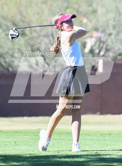 Thumbnail 2 in AIA DI Girls State Golf Championship photogallery.