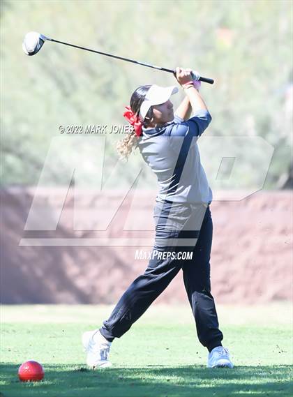 Thumbnail 2 in AIA DI Girls State Golf Championship photogallery.