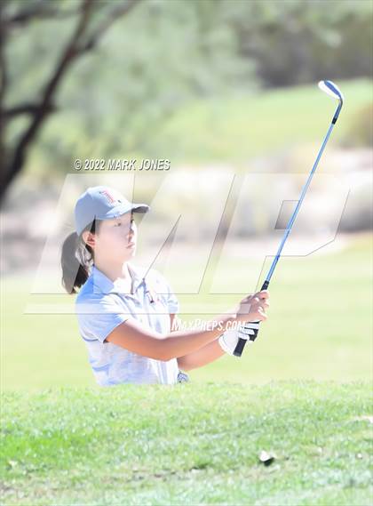 Thumbnail 1 in AIA DI Girls State Golf Championship photogallery.