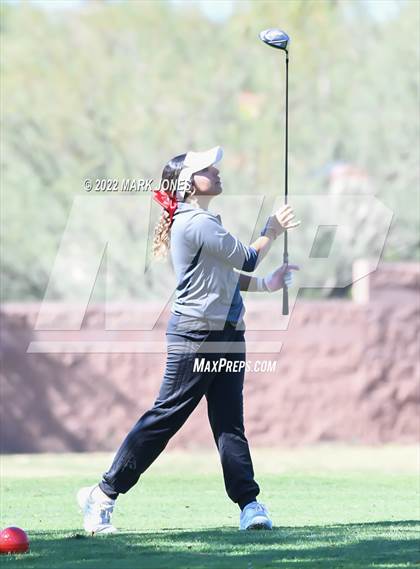 Thumbnail 2 in AIA DI Girls State Golf Championship photogallery.
