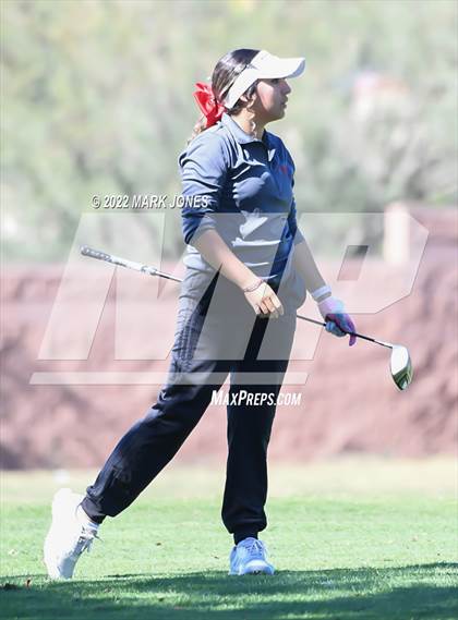 Thumbnail 3 in AIA DI Girls State Golf Championship photogallery.
