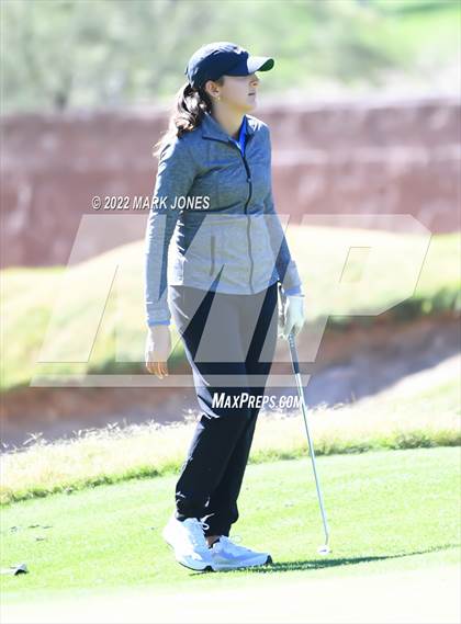 Thumbnail 2 in AIA DI Girls State Golf Championship photogallery.