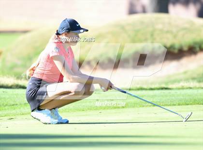 Thumbnail 1 in AIA DI Girls State Golf Championship photogallery.