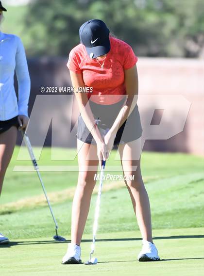 Thumbnail 3 in AIA DI Girls State Golf Championship photogallery.