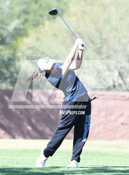 Thumbnail 1 in AIA DI Girls State Golf Championship photogallery.