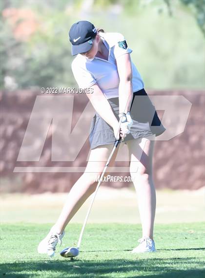 Thumbnail 2 in AIA DI Girls State Golf Championship photogallery.