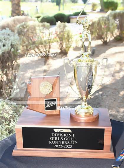 Thumbnail 1 in AIA DI Girls State Golf Championship photogallery.
