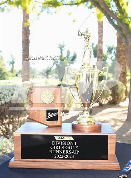 Thumbnail 3 in AIA DI Girls State Golf Championship photogallery.