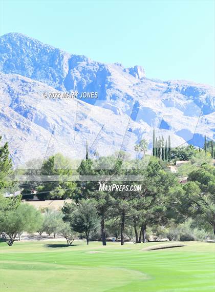 Thumbnail 2 in AIA DI Girls State Golf Championship photogallery.