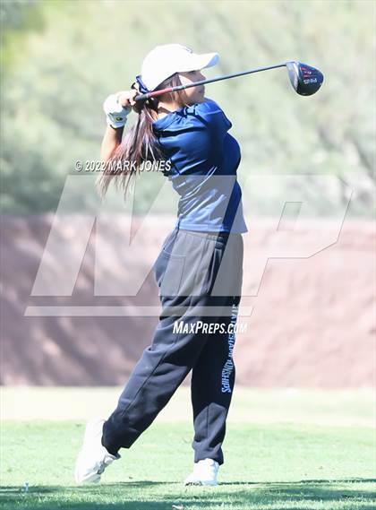 Thumbnail 1 in AIA DI Girls State Golf Championship photogallery.