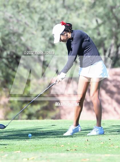Thumbnail 1 in AIA DI Girls State Golf Championship photogallery.