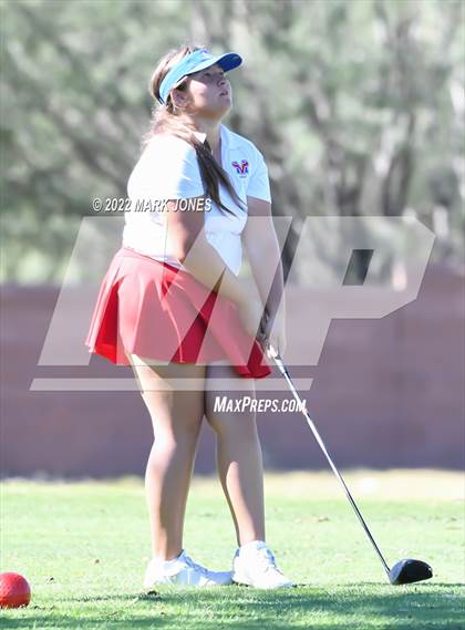 Thumbnail 1 in AIA DI Girls State Golf Championship photogallery.