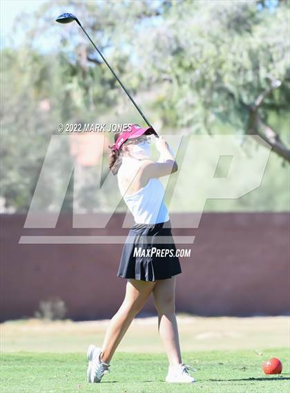 Thumbnail 2 in AIA DI Girls State Golf Championship photogallery.