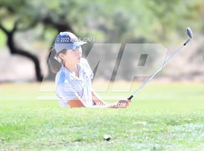 Thumbnail 3 in AIA DI Girls State Golf Championship photogallery.