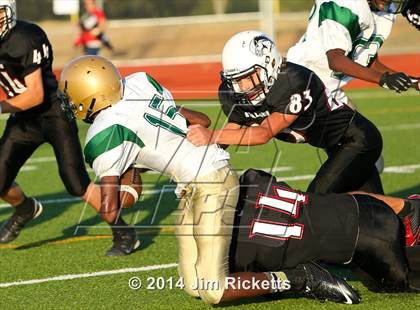 Thumbnail 1 in DeSoto @ Trinity photogallery.