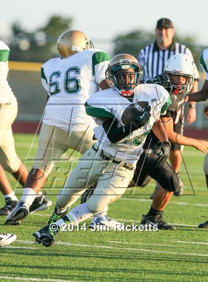 Thumbnail 3 in DeSoto @ Trinity photogallery.
